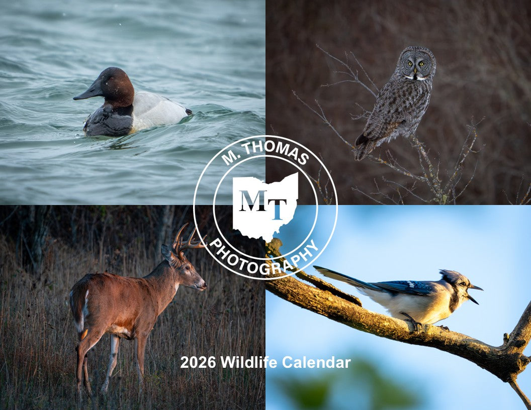 2026 Wildlife Calendars