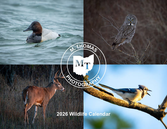 2026 Wildlife Calendars