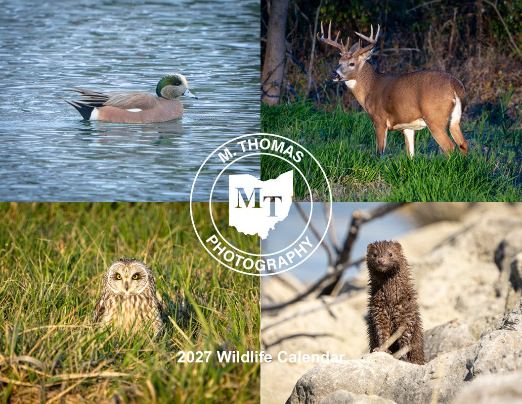 2027 Wildlife Calendars - Coming Soon!